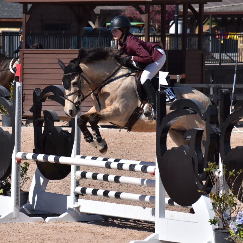 Meet your Posher, Mckinley